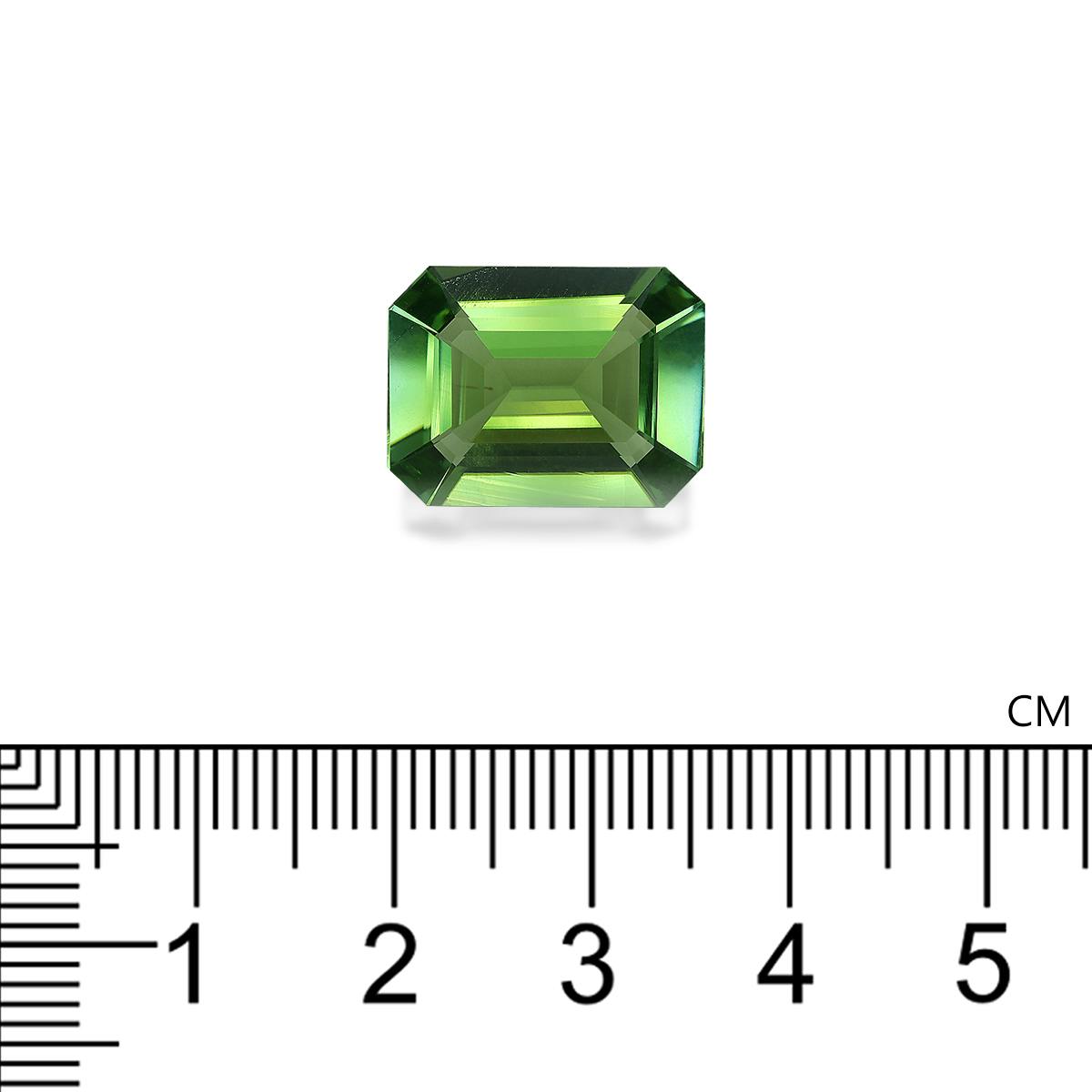 Green Tourmaline 8.69 ct
